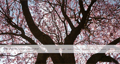 Desktop Screenshot of joergkaspari.com